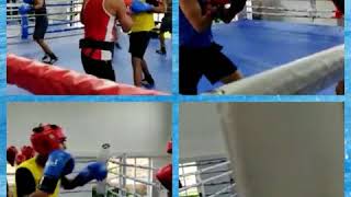 IIS SPARRING DRILLS IIS SPARRING DRILLS