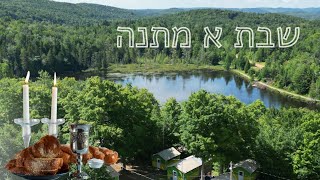 שבת א מתנה - מחנה בני בעלזא / Shabess A Matune - Anshy Eckstein -  Shabes Camp