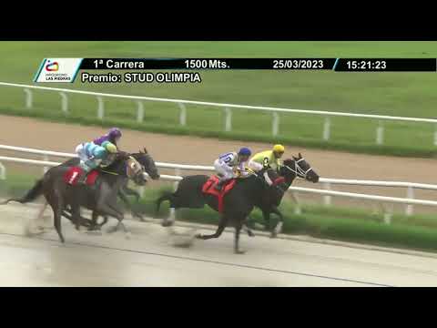 230325 c01 - GABIGOL - HIPODROMO LAS PIEDRAS