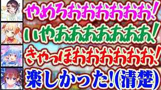 ねねちにイジられまくりぺこらに騙されスバルにアドバイスを貰いながらも最後まで清楚にプレイしてたときのそら【ホロライブ/兎田ぺこら/大空スバル/桃鈴ねね/ときのそら】