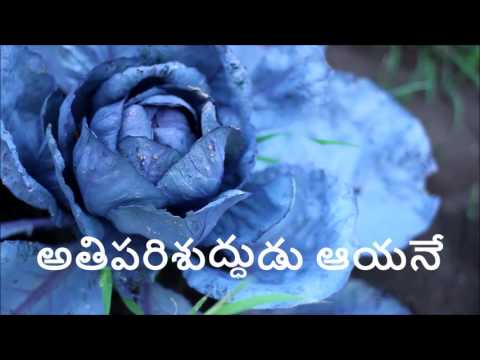 adavi chetla naduma