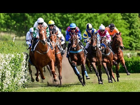 ŽIVĚ 🔴 | dostihy Most – 11. 6. 2023