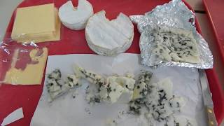 Le tour des Fromages par les CM1 A