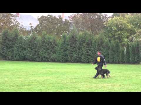 Szigetköz kupa MNJK nemzeti bajnokság Molnár Zsolt- Cenzo Kampftrieb. B:87