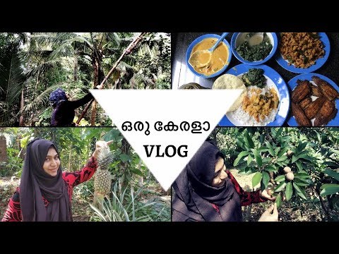 നാട്ടിലെ കുറച്ചു വീട്ടു വിശേഷങ്ങൾ || A Kerala Vlog / Ayesha’s Kitchen Video