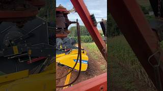 LEVANDO CARRETINHA com PLATAFORMA NEW HOLLAND 25 PÉS 😄😄🌽