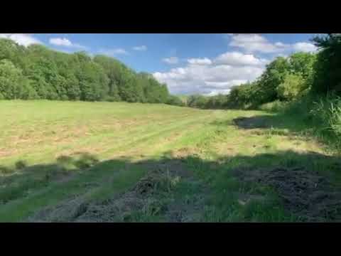 Ford puma autocross 1.4 66kW  first testing