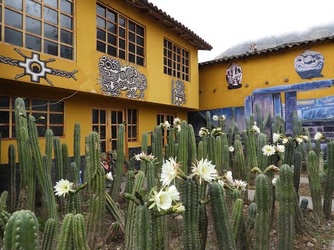 DIVINE CACTUS HUACHUMA (SAN PEDRO) | FULL DOCUMENTARY | REMAKE 2024