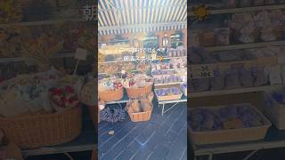 【フランス】ニース朝活スポット☀️ #フランス#ニース#ニース旅行