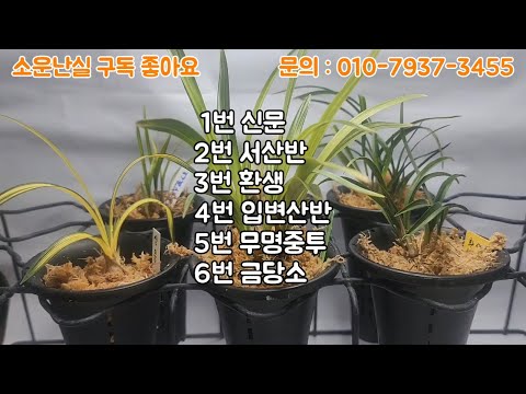 유튜브 썸네일