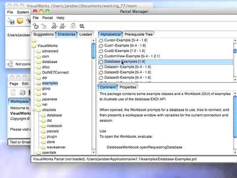 Tutorial: VisualWorks Basic Introduction - Learning from Code Examples