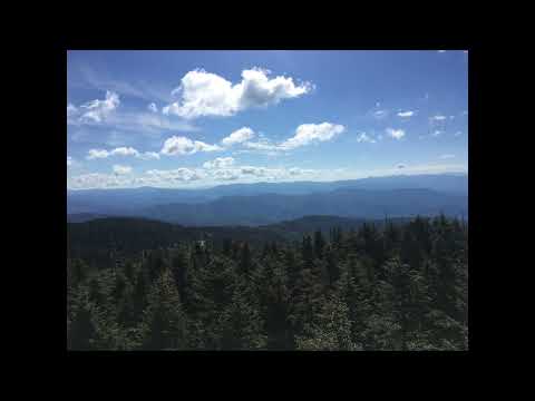 Drizzy-Can't Stop (Official Audio)