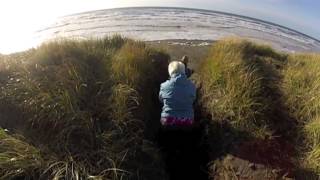 OS  Nov 2013   (MUSIC  by  Two Loons for Tea   MONKEY)