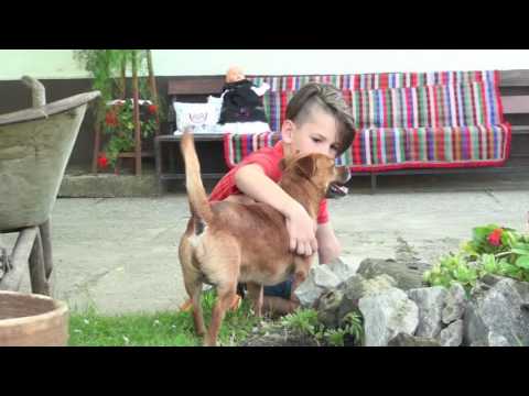 21. Ras. Cvelferija 2016. - 3 dan subota