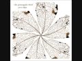 Pineapple Thief - Subside 