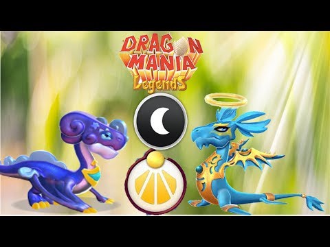 ENCHANT DRAGON BATTIE | STARUST Dragon LV 80 VS 80 - Dragon Mania Legends | part 917 HD