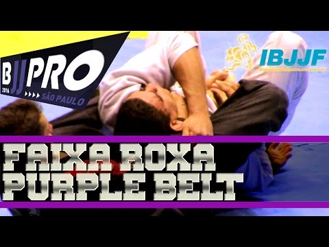 SP BJJ Pro - Accelerated purple belt
