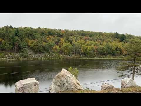 Fall Foliage High Point