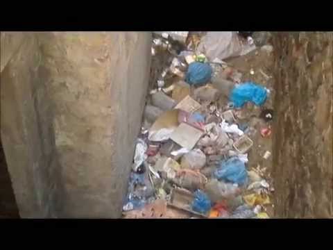 Pardieiro em Chã D Alecrim constitui atentando a saúde pública