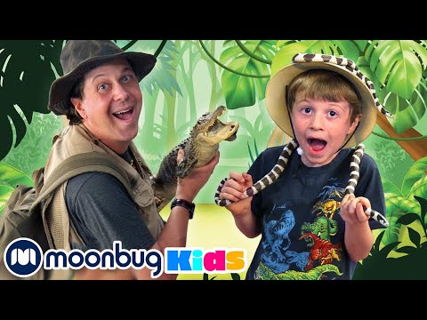 Alligator Park & Surprise Toys | Jurassic TV | Dinosaurs and Toys | T Rex Family Fun