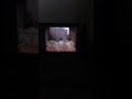 Sesame Street Episode 2019 Ending