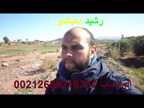 Op zoek naar levenspartner Zwijndrecht