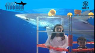 DIA 2 Expo Tiburon170