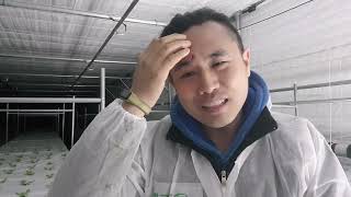 왜 귀농하셨나요 ? 제 답변입니다.