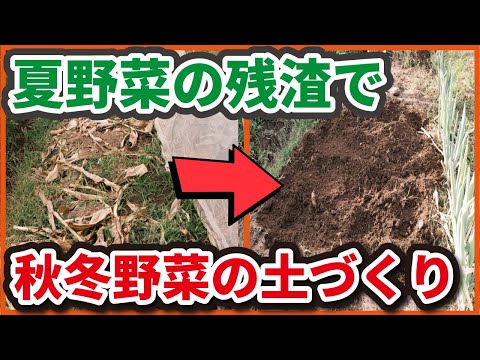 マッキーチャンネル様　【とうもろこし残渣処理】ズボラで簡単！秋冬野菜のふかふか土づくり！