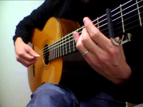 The fool on the hill  - arranged by Göran Söllscher