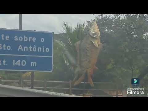 Minas a Tuiuti sao paulo