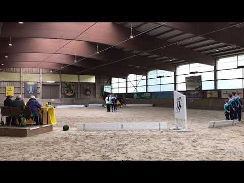 L-Team Pegasus Mühlack 2017 in Leonberg