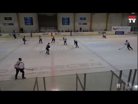 2nd Round CJHL:  HK Partizan Beograd - STS UKS Niedzwiadki MOSiR Sanok