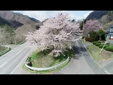 岩手県・岩泉町[春編]　Spring in the town of Iwaizumi, Iwate prefecture