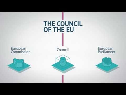 Council animation decision making (EN)
