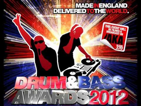 Roni Size & Skibadee - DRUM AND BASS AWARDS 2012