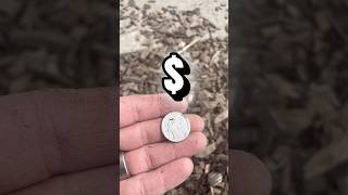 Playground finds #metaldetecting