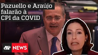 Renan Calheiros e senadores estão ‘cavando prova’ para incriminar governo, avalia Cristina Graeml