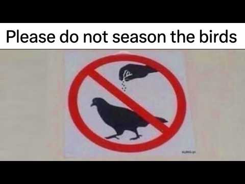 Pun Memes