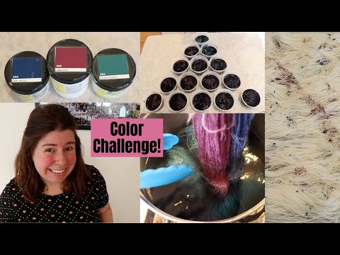 Dyepot PS #46 - Color Challenge Part 1 - Dyeing Many Colorways with Navy, Forest Green, & Cabernet