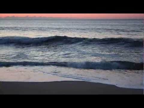 Hoyaa pres. Lunar System - Cold Wave (Suncatcher Remix) [Music Video] [Harmonic Breeze]