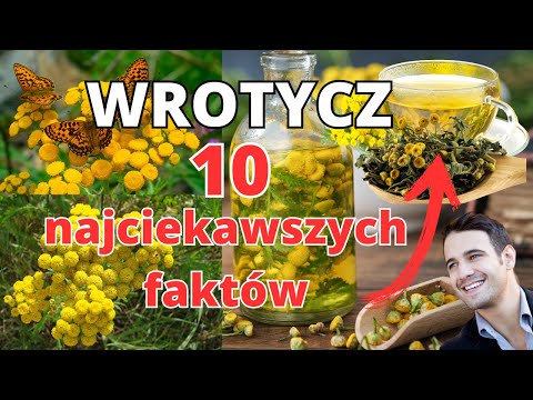 Wrotycz pospolity właściwości, zastosowania i działanie.  🌿🌕🌿 Pasożyty i kleszcze nie mają szans!