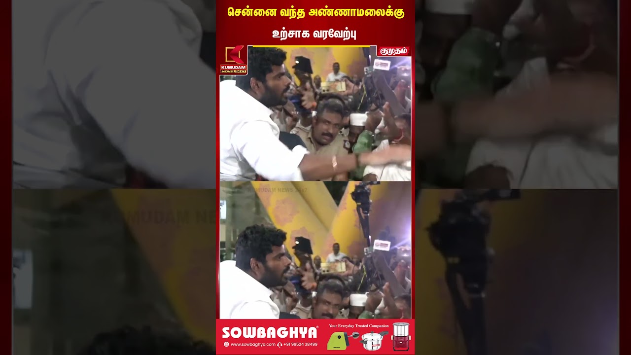 சென்னை வந்த அண்ணாமலைக்கு உற்சாக வரவேற்பு | Annamalai New Party Update | Kumudam News
