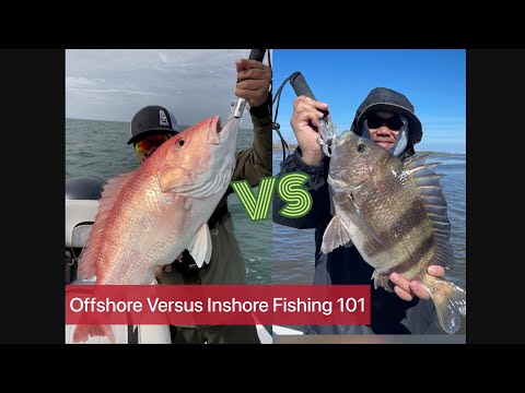 Offshore vs Inshore Fishing 101 - Freeport Texas Fishing 2023