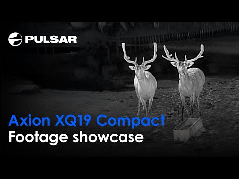 Axion XQ19 Compact | Footage showcase