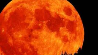 Bad Moon Rising - Thea Gilmore