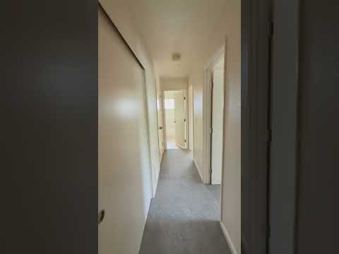 La Vida 305-307 - Video 2 of 2