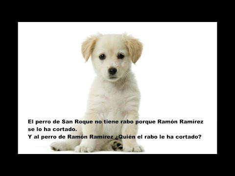 Sara y el perro de San Roque