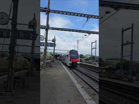 IR36➡️Zürich HB in Bahnhof Frick Schweiz🇨🇭#sbb #cff #ffs #trainspotting #zug #züge #shorts #yt