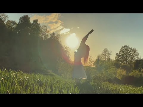 Mėlyna - Šaknys Nebevaikšto